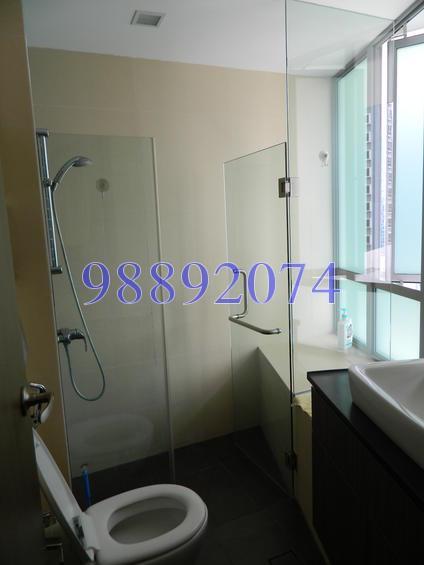 Novelis (D11), Apartment #137804452